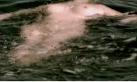 Video Svetlana Khodchenkova naked bathing