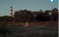 Footage from the film with Severe anusauskaite naked