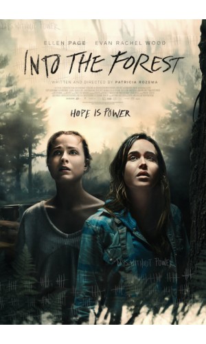 In the woods (2015)